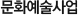 문화예술사업