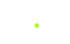 zoo story